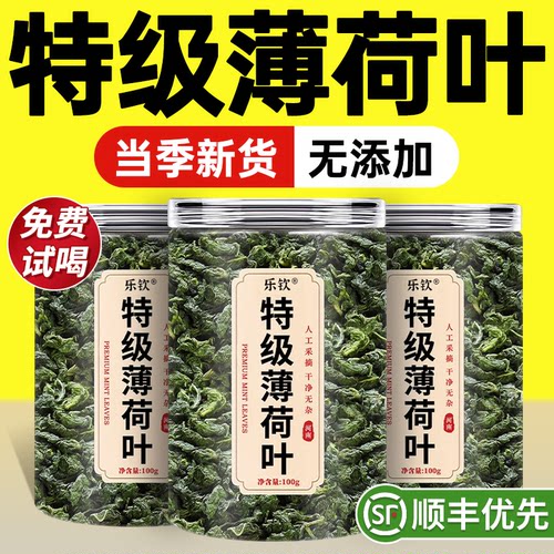 【特优级精选】特级薄荷叶中药材