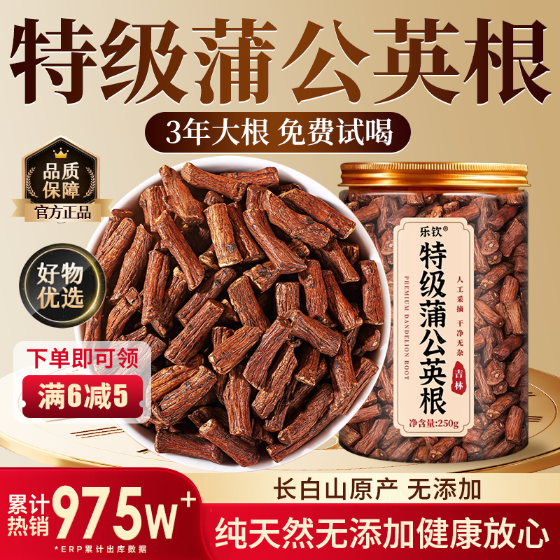 【特优级精选】特级蒲公英根正品