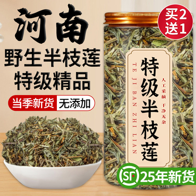 【好货严选】特级半枝莲官方正品
