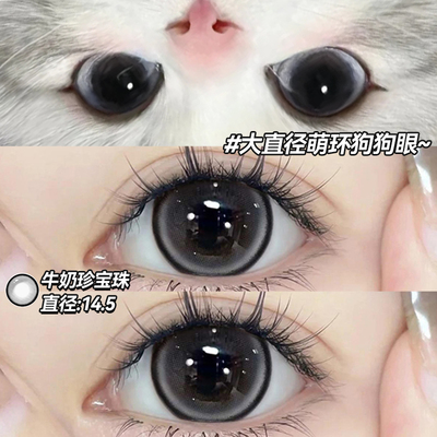 美瞳半年抛黑色狗狗眼大直径14.5带度数隐形眼镜官方正品旗舰店vv