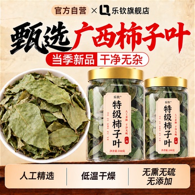 【特优级精选】特级柿子叶中药材