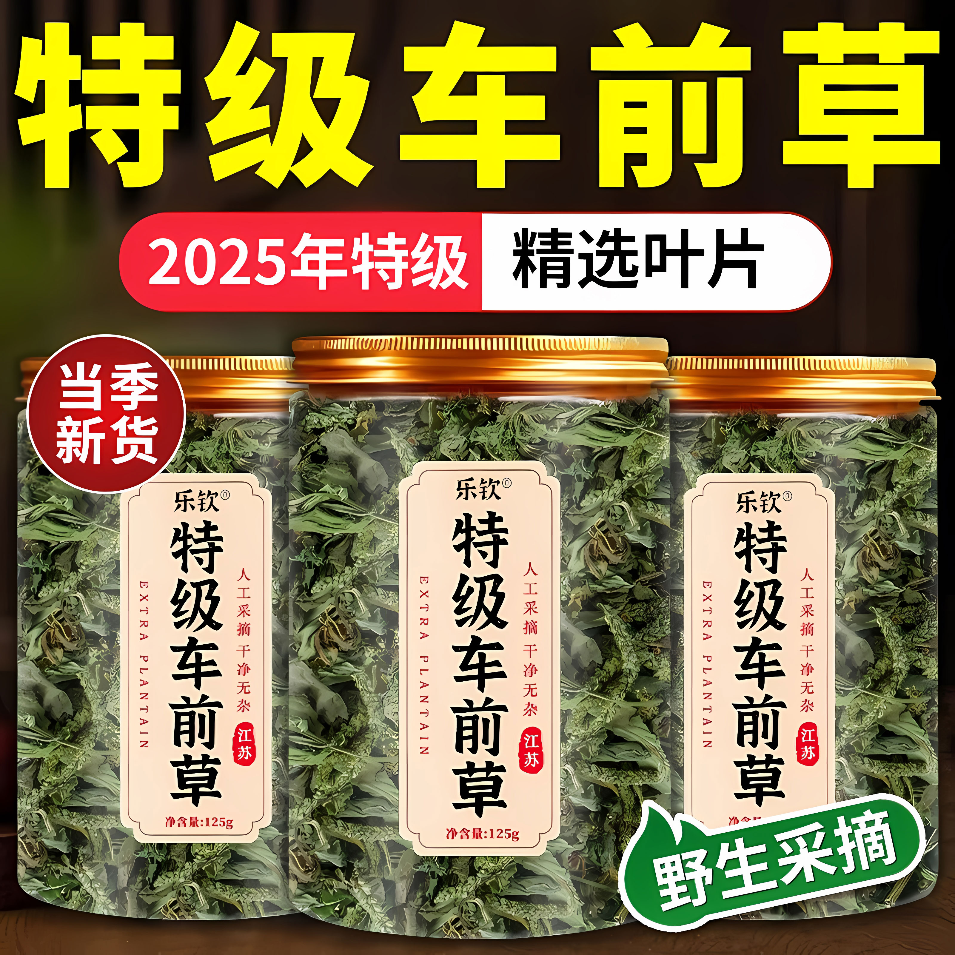 特级新鲜车前草纯野生干货中药材蒲公英夏枯草茶正品官方旗舰店zz