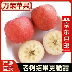 【京东包邮】山西万荣苹果冰糖心红富士运城新鲜水果脆甜当季整箱