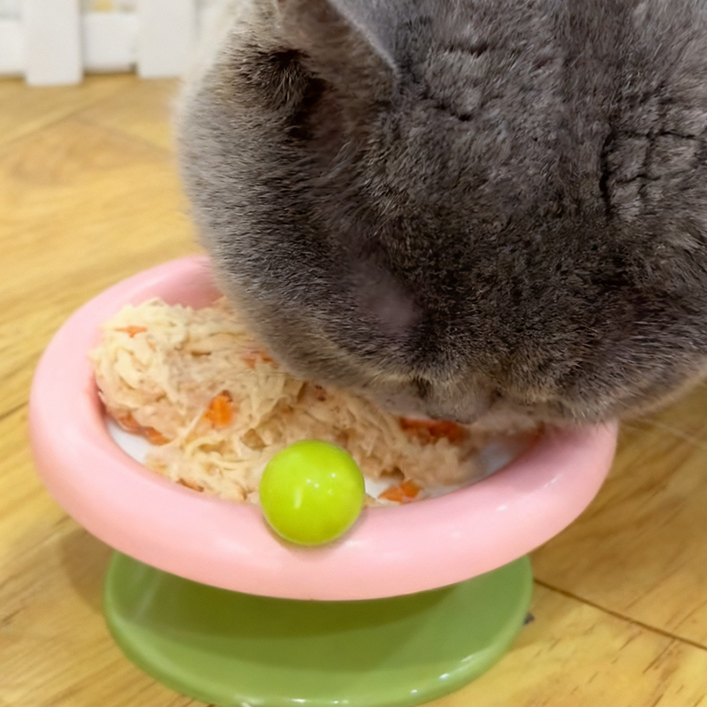 猫猫爱吃的鲜粮熟猫饭奶酪高蛋白