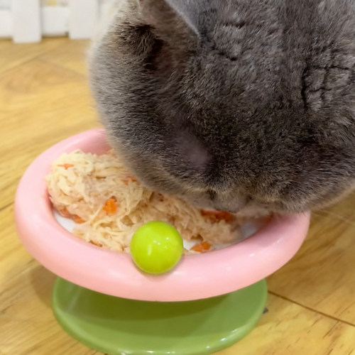 猫猫爱吃的鲜粮熟猫饭奶酪高蛋白