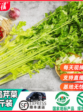 新鲜马家沟芹菜芯山东特产空梗芹菜4斤优品生吃凉拌食用生鲜包邮