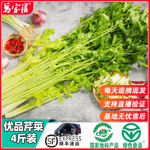 新鲜马家沟芹菜家庭实惠装