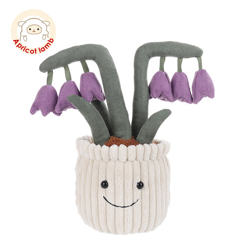 Apricotlamb紫色铃兰花盆栽