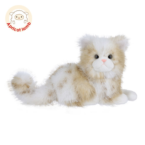 Apricotlamb棕色波斯猫