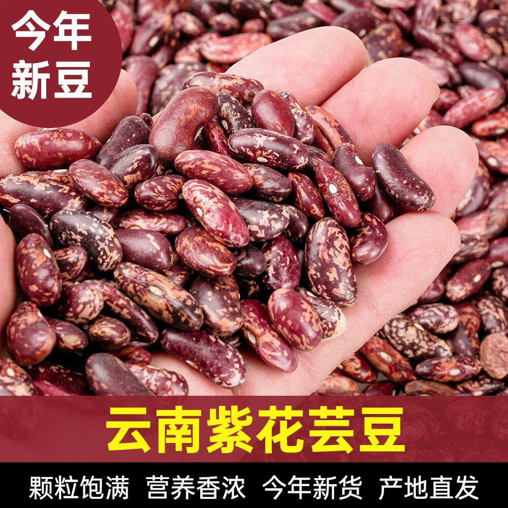 24年新花芸豆紫花豆云南特产农家自种紫花芸豆五谷杂粮粥豆类云豆