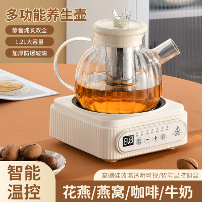 小筱熊全玻璃自动保温养生壶