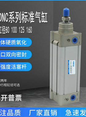 SE100*160标准气缸DNC80X25X50X100X125X150X200X250X450/500-S