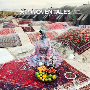 WOVENTALES天织中东进口原装 手工羊毛Qashqai地毯部落民族220x122