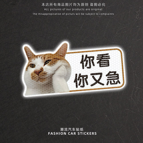 搞笑猫咪车尾后玻璃反光警示贴
