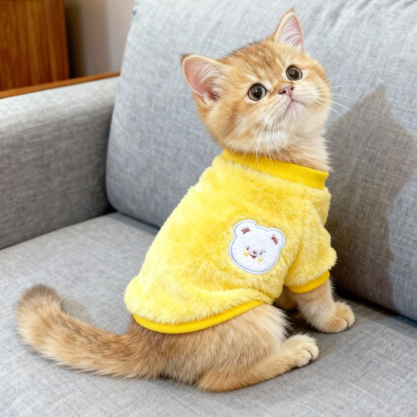 猫咪衣服保暖可爱卡通小熊毛绒