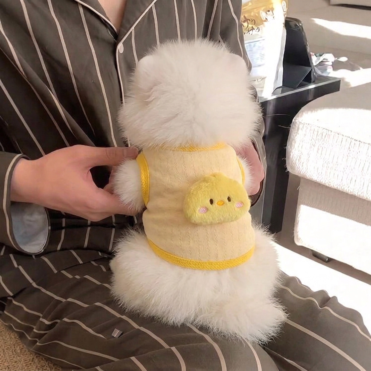 奶狗衣服秋冬可爱保暖奶狗背心