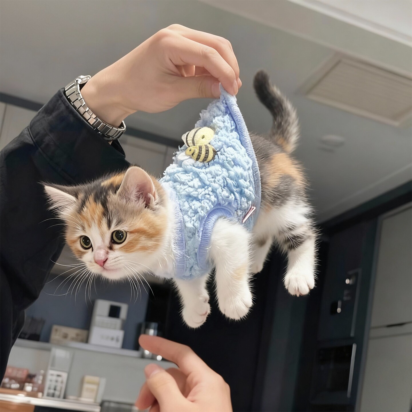 小奶猫保暖衣小号秋冬款可爱背心
