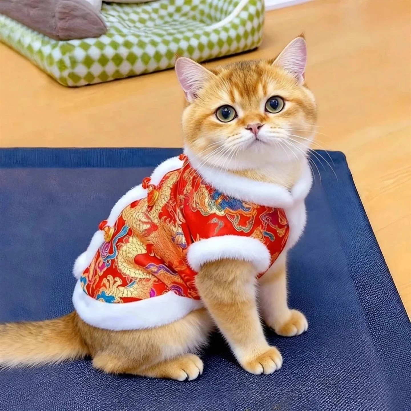 猫咪保暖加绒盘扣装新年红色