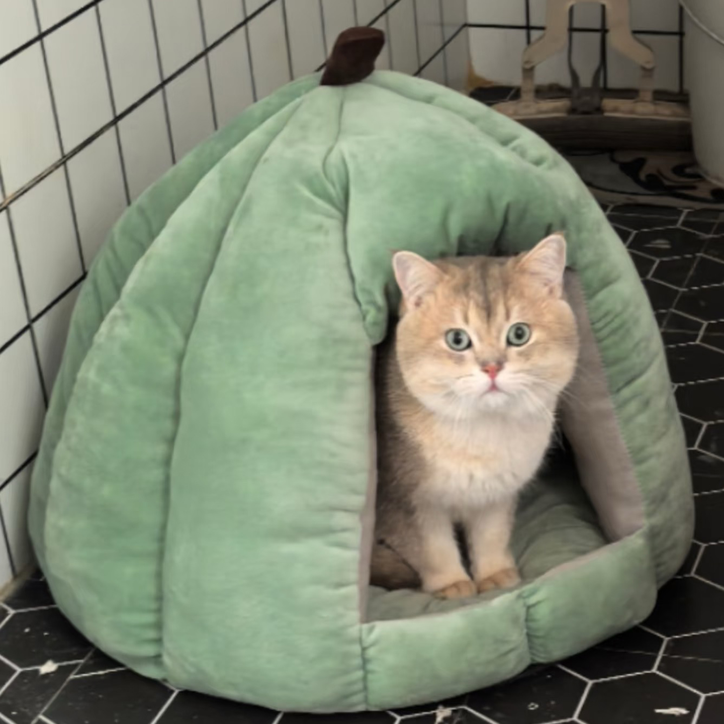 猫窝冬季保暖封闭式猫床甜瓜窝