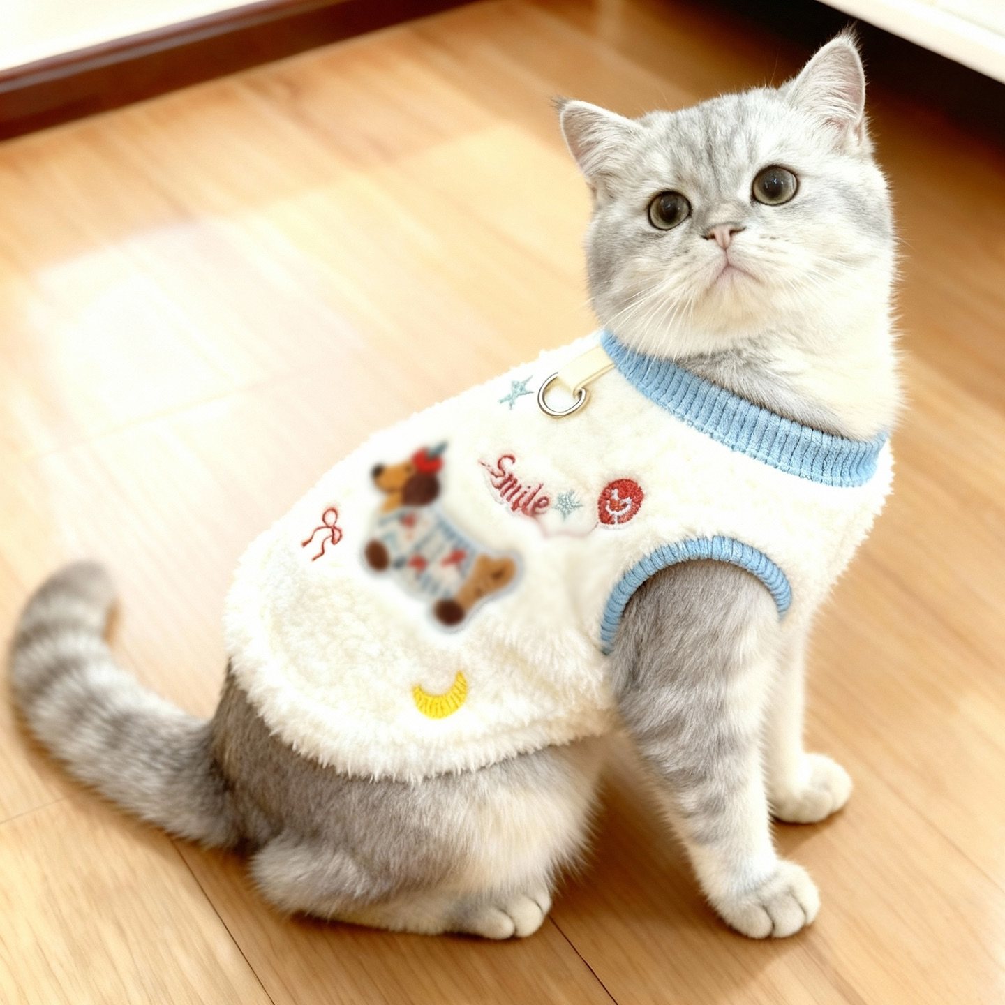 猫咪衣服秋冬款加绒保暖背心英短银渐层布偶宠物狗狗猫咪衣服冬季,宠物/宠物食品及用品,猫宠物服装/雨衣（新）,淘宝优惠券,粉丝福利购,淘宝优惠卷