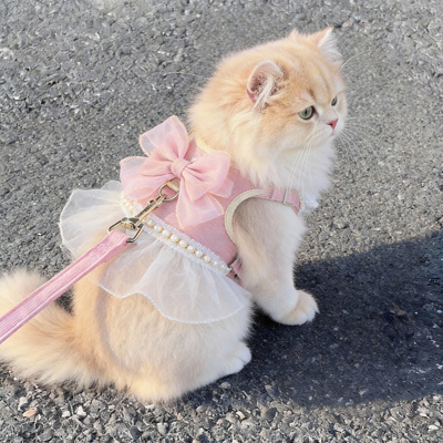 猫咪牵引绳防挣脱外出专用溜猫绳