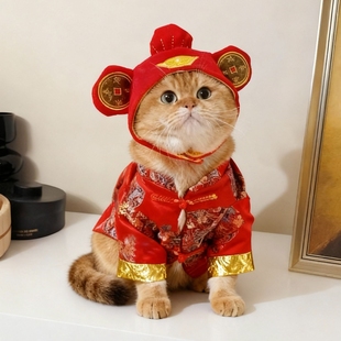猫咪衣服过年喜庆中国风可爱财神爷帽子宠物新年装冬季保暖狗衣服