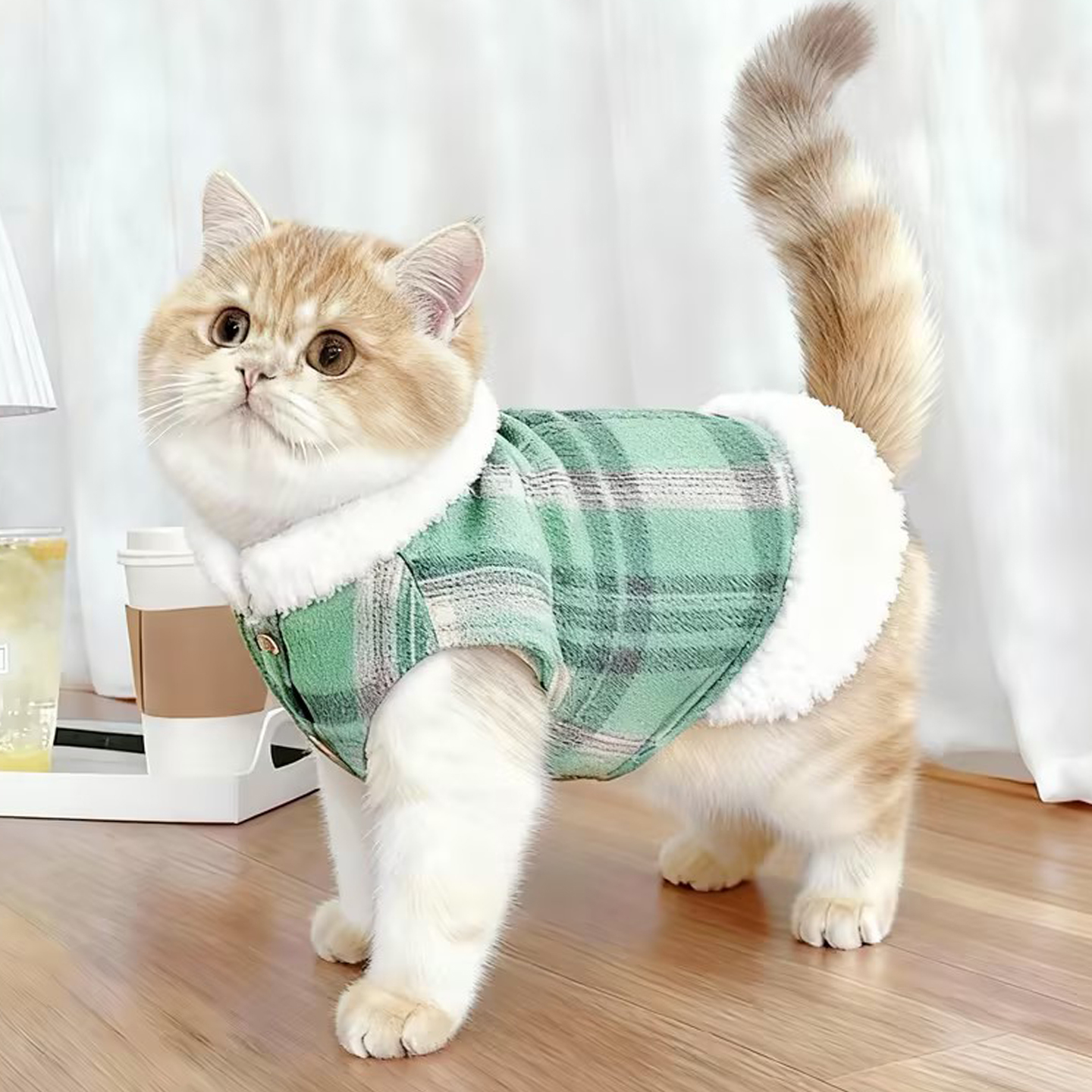 猫咪英伦风格纹马甲宠物服装