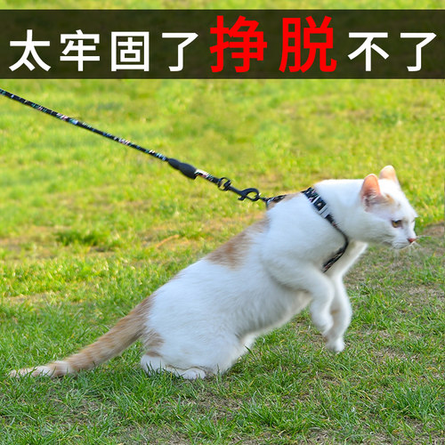 防挣脱猫咪猫绳子阿莫尔冲量中