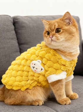 猫咪衣服秋冬保暖背心黄色卡通小熊金龟绒马甲英短金渐层猫咪衣服