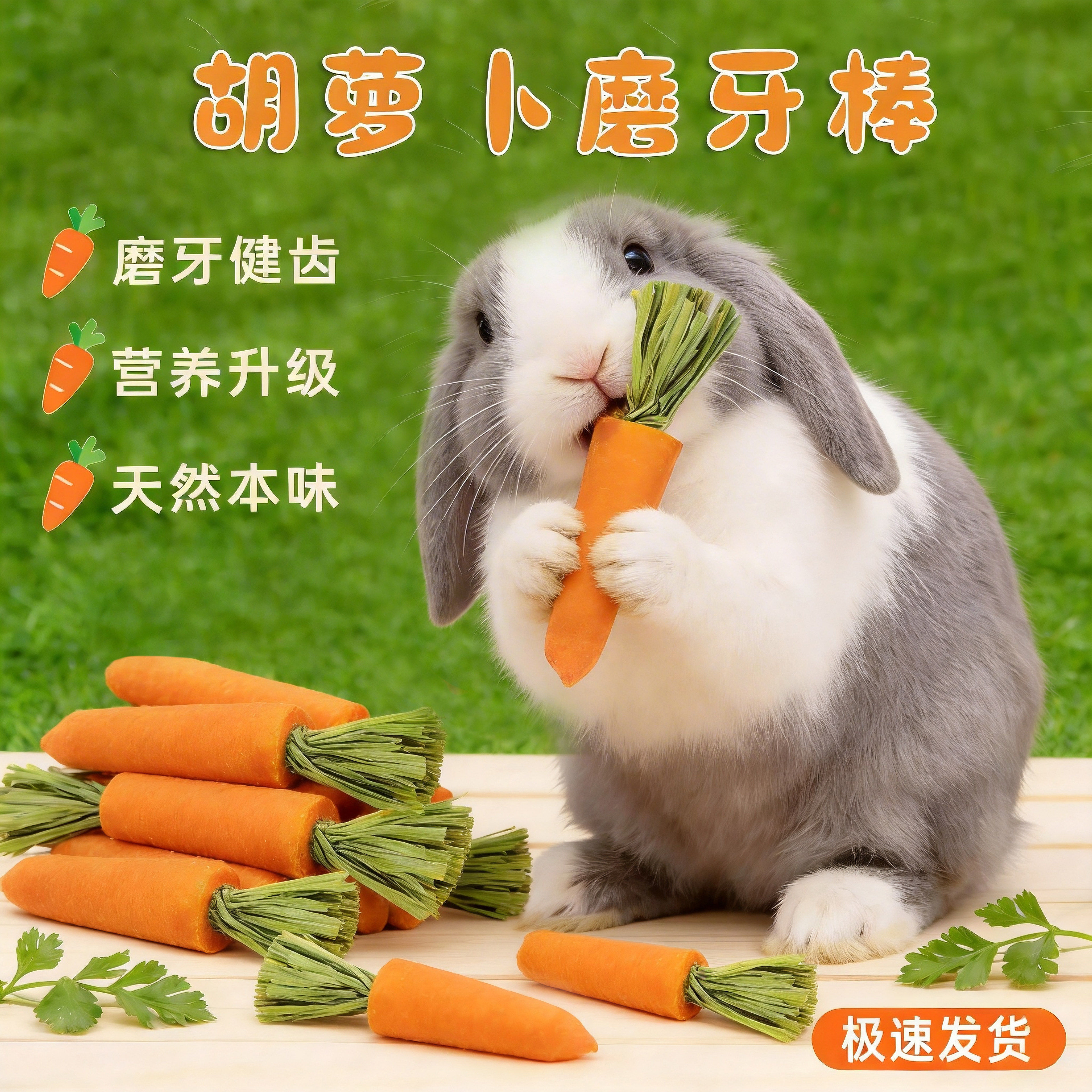 兔子磨牙零食胡萝卜仓鼠玩具耐啃