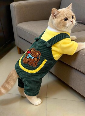 猫咪衣服秋冬款绿色背带宠物德文猫英短比熊狗狗加厚四脚衣布偶