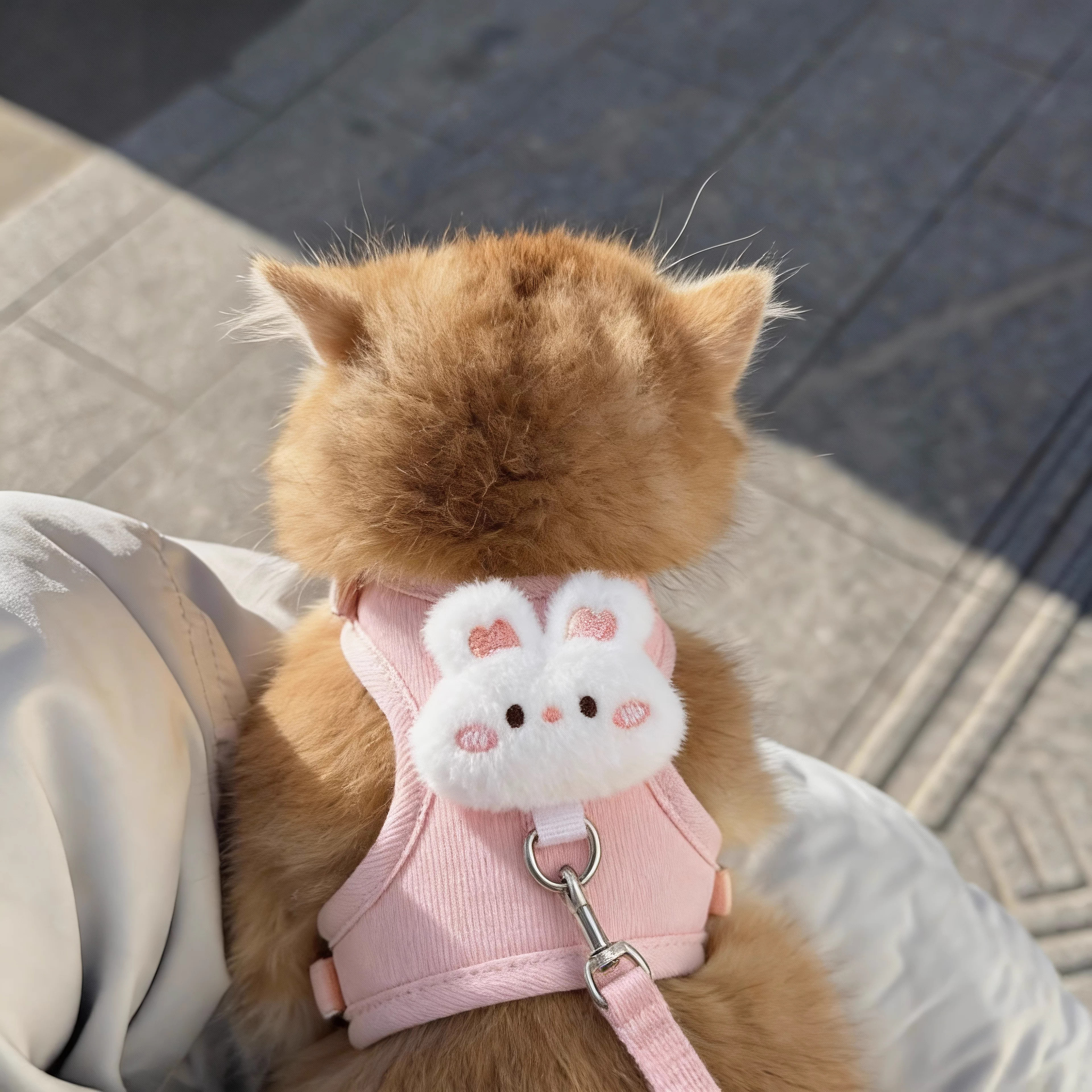 猫咪胸背牵引绳宠物外出绳防挣脱可调节不勒脖工字背心式狗绳防丢,宠物/宠物食品及用品,猫牵引绳,淘宝优惠券,粉丝福利购,淘宝优惠卷