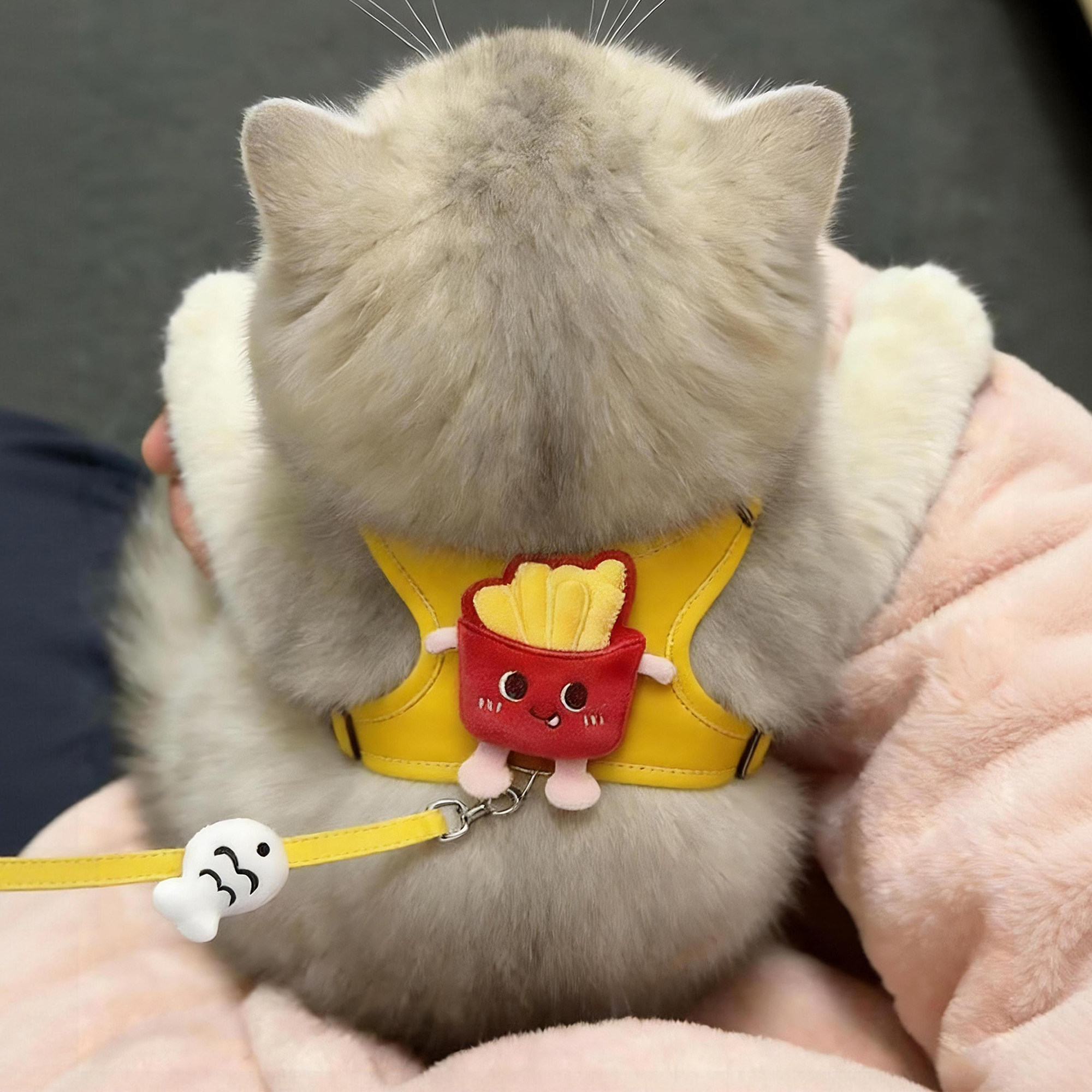 小猫胸背可爱薯条牵引绳可调节