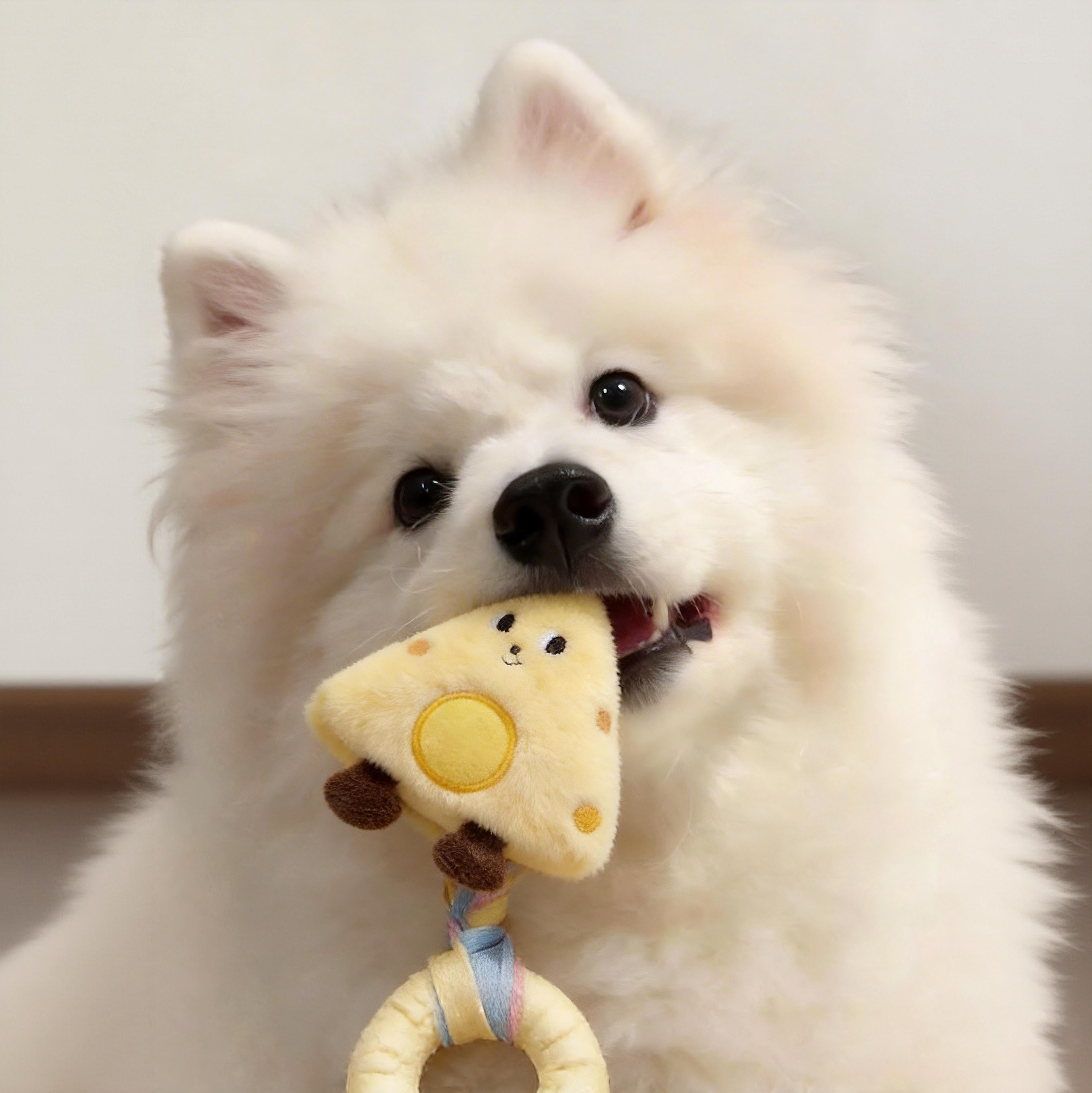 狗狗玩具解闷发声磨牙环毛绒玩偶耐磨耐啃咬博美泰迪柯基宠物用品
