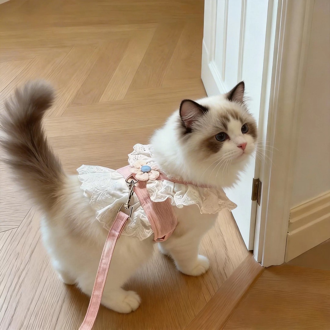 猫咪牵引绳花边裙透气背心式胸背