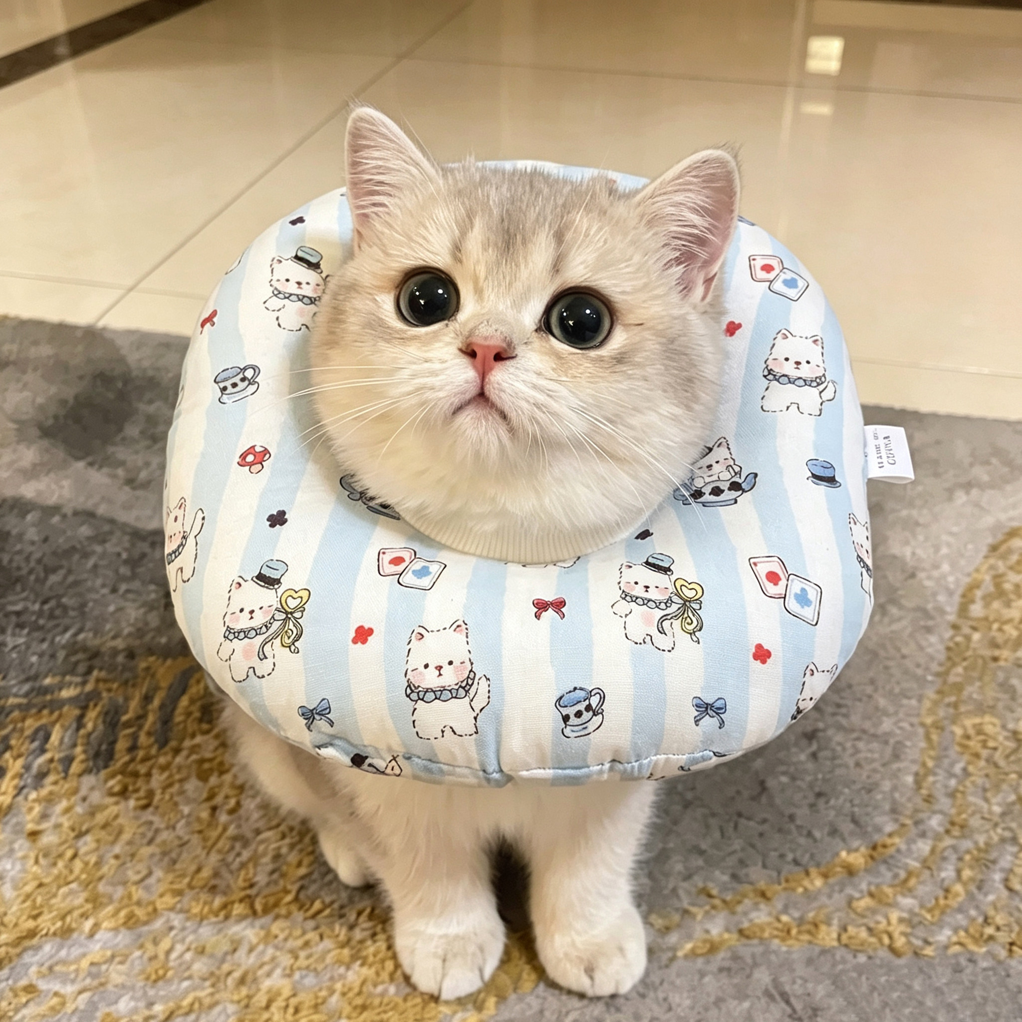 宠物猫咪伊丽莎白圈纯棉舒适防舔