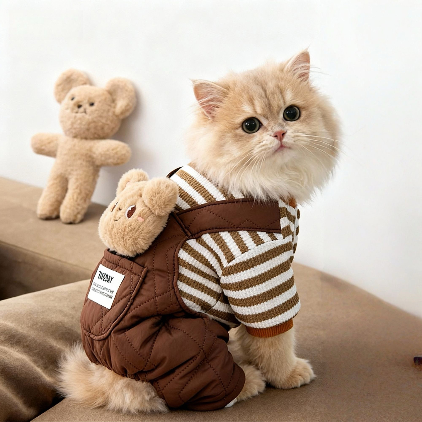 猫咪衣服冬季可爱玩偶加绒保暖