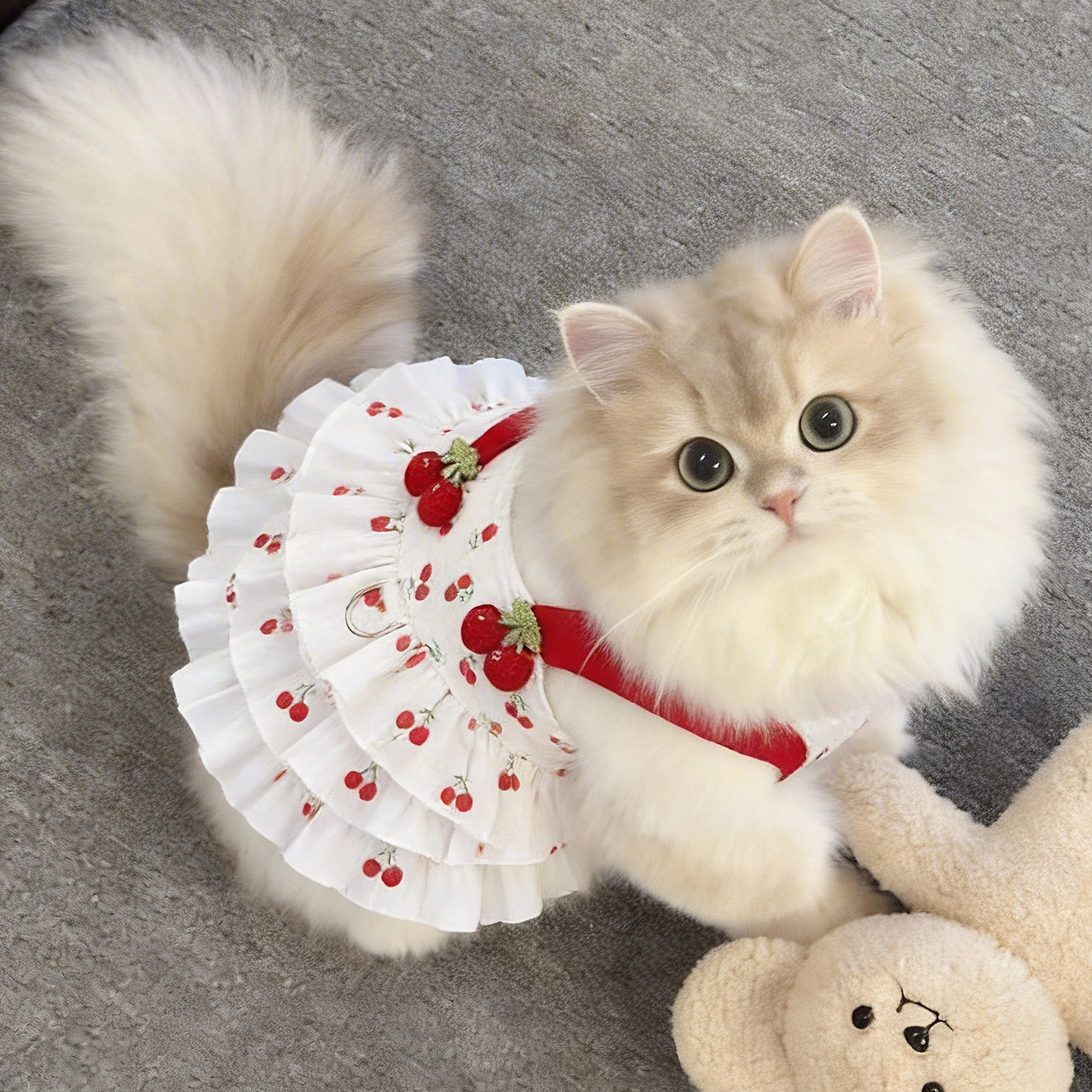 猫咪衣服薄款樱桃公主裙春夏款