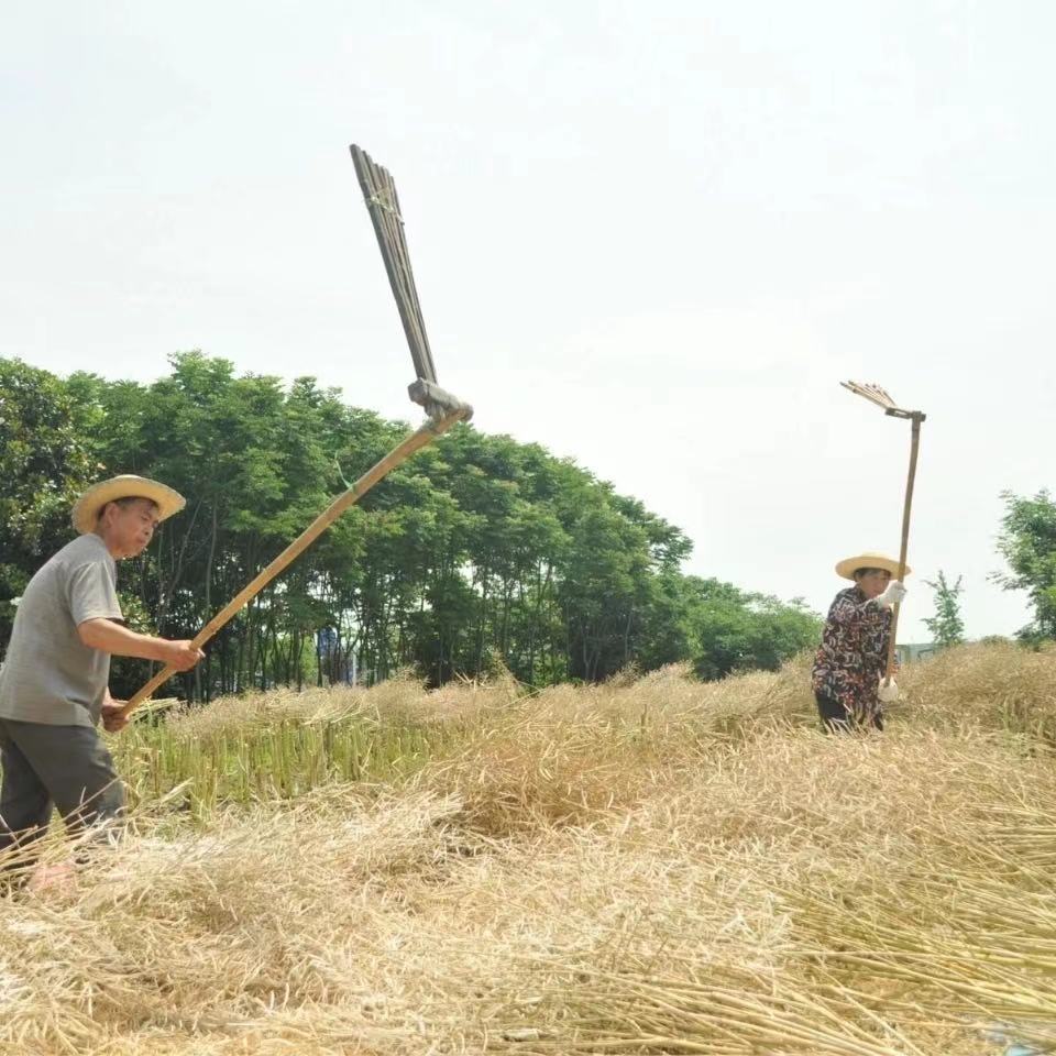 东北打油菜籽工具连枷竹排耙手工农具稻谷麦豆脱粒梿枷颗粒分离