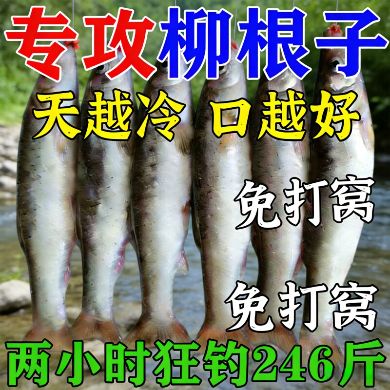 东北野生柳根子鱼饵料野钓冰钓