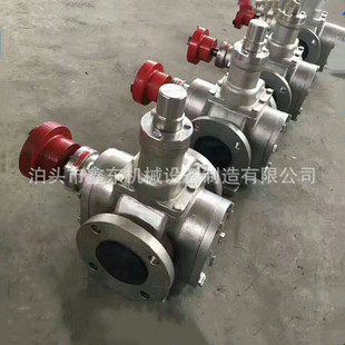 304材质不锈钢圆弧齿轮泵YCB 0.6齿轮油泵304材质泵食品泵