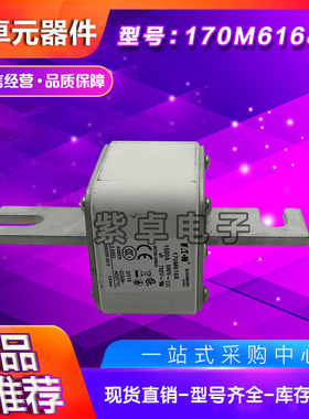 170M6167 170M6168 170M6169 170M6170 170M6171巴斯曼快速熔断器