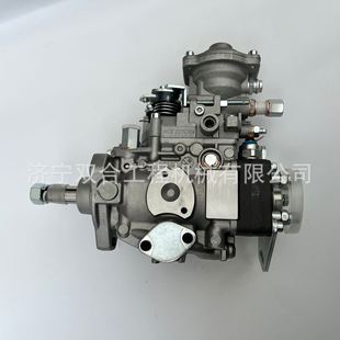 7346 246 32A65 37030 12F1300RND502燃油柴油泵 196000 VE4 5020