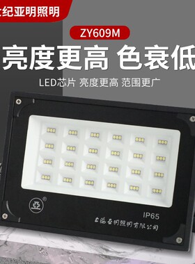 亚明满天星ZY609M LED泛光灯 亮度高色衰低户外挡水建筑物投光灯