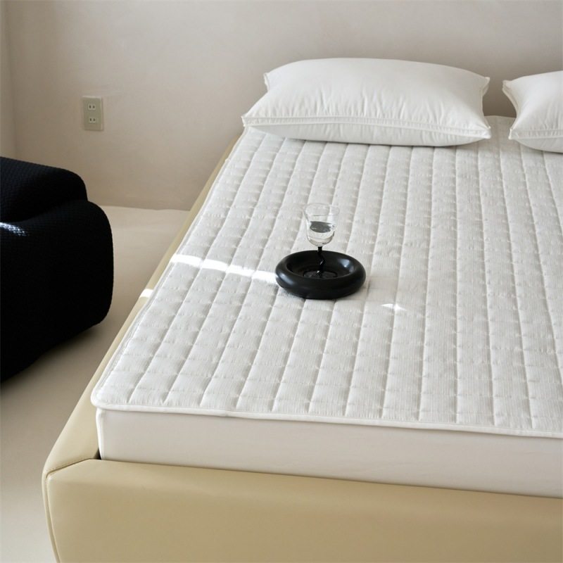 2025新款四季款薄床垫薄款酒店席梦思保护垫绗缝夹棉床褥保暖柔软,收纳整理,其他收纳,淘宝优惠券,粉丝福利购,淘宝优惠卷