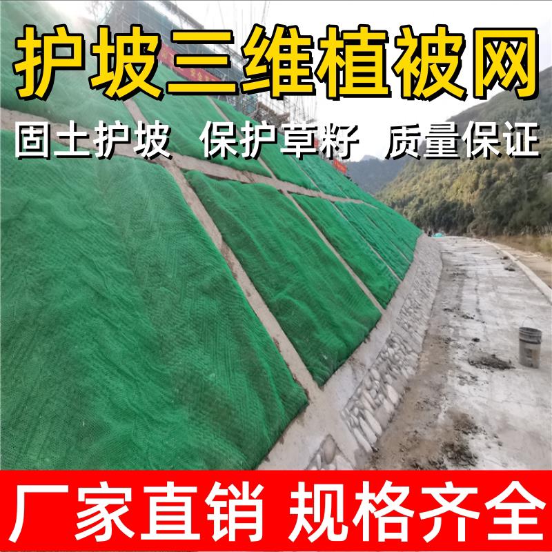 三维植被网土工网垫植草坪固土网园林绿色植被网河道护坡修覆厂家