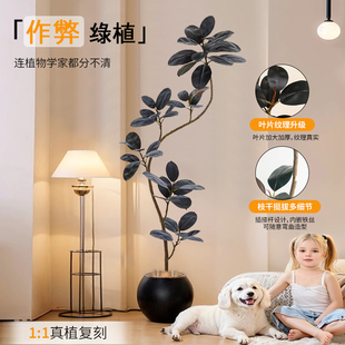 假绿植装饰仿真橡皮树室内盆栽大型落地摆件客厅轻奢仿生植物造景