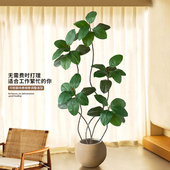 橡皮树大型仿真绿植高级感仿生植物盆栽室内高端轻奢客厅落地装 饰