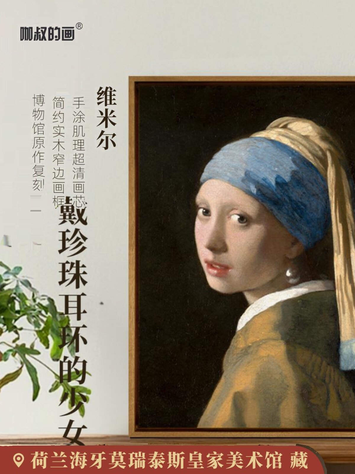 新品 维米尔《戴珍珠耳环的少女》客厅沙发背景墙装饰画玄关挂画