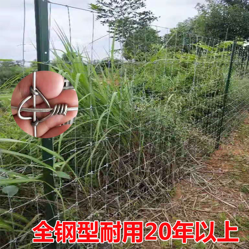 养殖热镀锌钢丝网j家用圈马牛羊猪大孔铁丝围栏网户外防护栅栏不